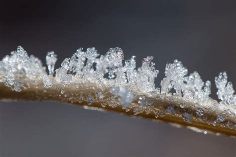 Ice Crystals Winter · Free Photo On Pixabay