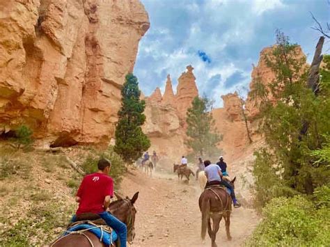 Bryce Canyon Horseback Rides 9 Options And Our Review Were In The