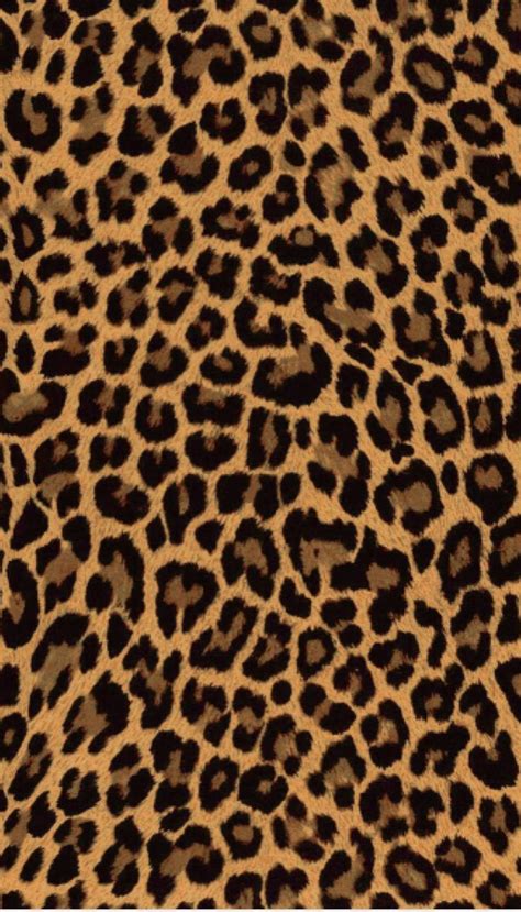 Cheetah Print Background Cheetah Print Wallpaper Flower Phone