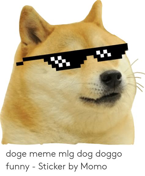 Doge Meme Mlg Dog Doggo Funny Sticker By Momo Doge Meme On Meme