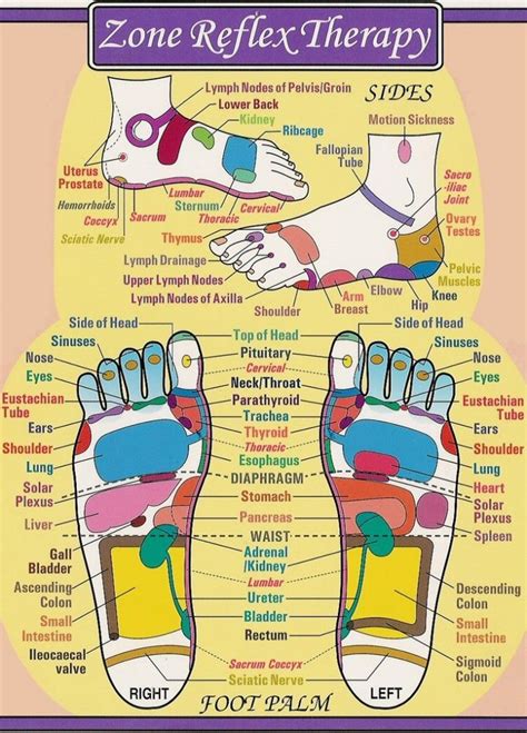 Use Reflexology To Relieve Pms Symptoms And Menstrual Cramps Learn