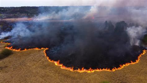 Aerial View Wildfire In Field Stock Video Motion Array