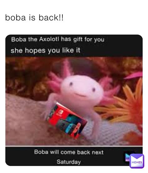 Boba Is Back Stiletto Memes