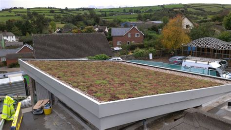 Sedum Roof 3264×1840 Sedum Roof Green Roof Green Roof Benefits