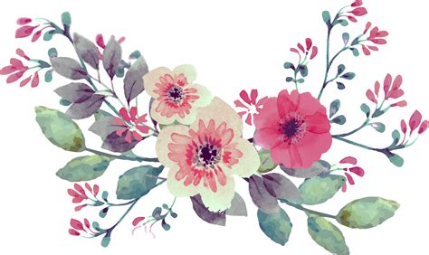 Watercolor Flower Png Transparent