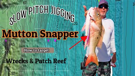Slow Pitch Jigging Mutton Snapper How To Target Wrecks And Patch