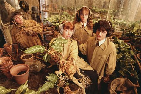 Mandrakes In Herbology Harry Potter Harry Potter Movies Harry