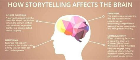 How Storytelling Affects The Brain Pearltrees