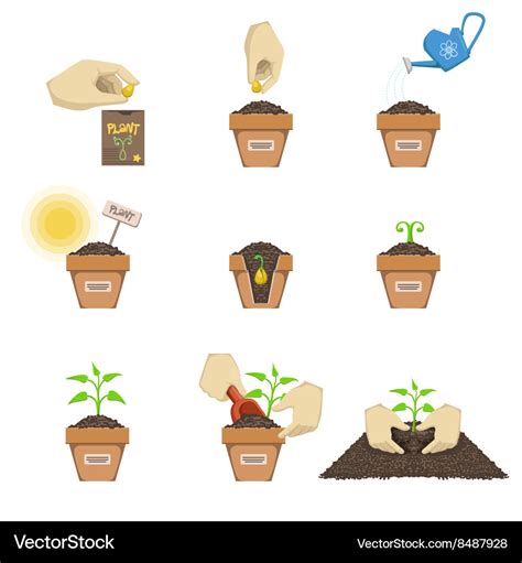 Planting The Seed Sequence Royalty Free Vector Image