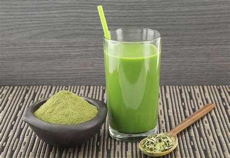 15-Amazing Health Benefits of Moringa juice for Everyone that facts you gambar png