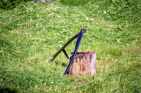 Premium Photo A Scythe Leaning Against A Tree Stump With Cut Green