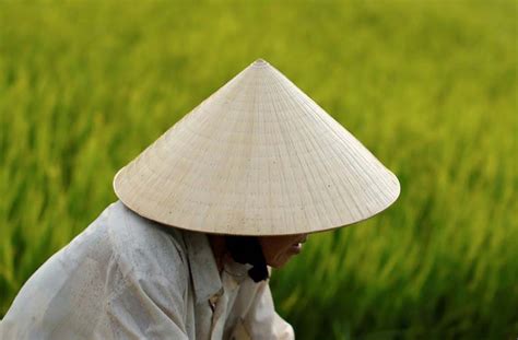The Beauty Of Vietnamese Conical Hat