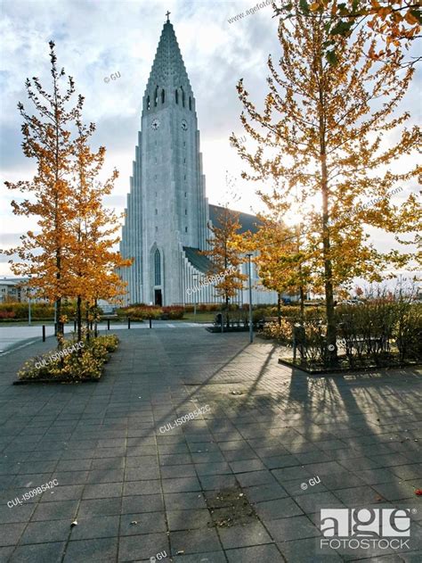Reykjavik Cathedral And Trees With Autumn Leaves Reykjavik Iceland