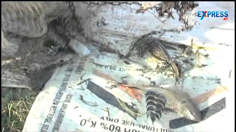 Devil Fish Creates Fear In Fishermen West Godavari Part 1 Youtube
