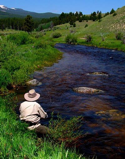 Rocky Mountain Timberlands The Best Montana Fly Fishing Rivers