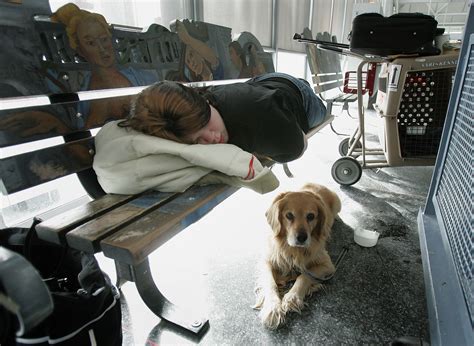 What Is The Dog Quarantine For Hawaii