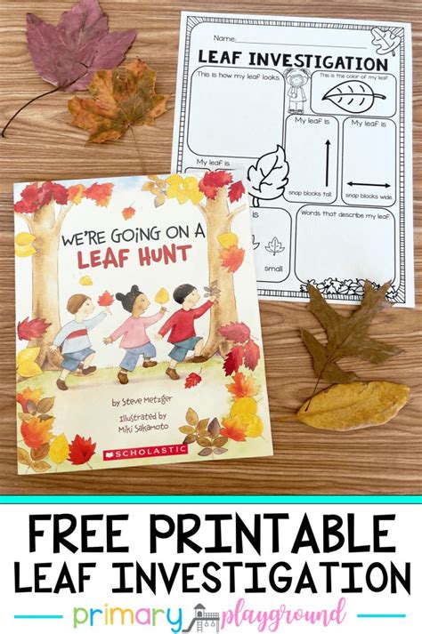 Free Printable Leaf Investigation Primary Playground Fall Preschool