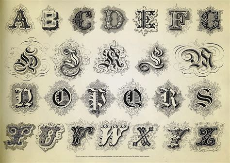 Calligraphy Alphabet Typography Lettering Penmanship Old School