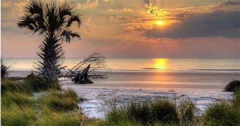 We did not find results for: Beaufort SC News | Hunting Island State Park