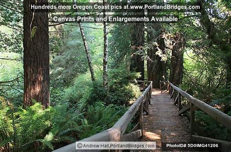 Prairie Creek Redwoods State Park Bridge Photo 5d0img41206