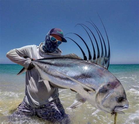 Coolest Looking Fish In The Ocean Imo The Roosterfish Credit To Zac