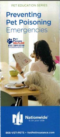 Call your veterinarian or pet poison helpline immediately. Pet Poison Helpline - Free Educational Materials