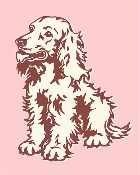 Best Scruffy Dog Illustrations Royalty Free Vector Graphics And Clip Art