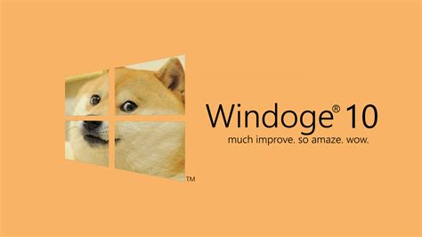 Doge Memes Hd Wallpaper Rare Gallery