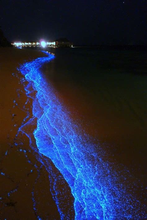 Bioluminescent Beach In Maldives Maldives Beach Travel Places To Travel