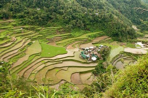 Best Time To See Banaue And Batad Rice Terraces In Philippines 2023