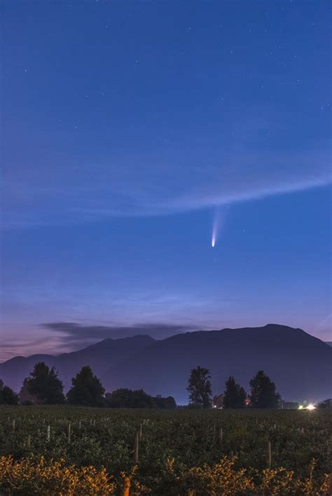 Photographers Snag Gorgeous Photos Of Rare Comet Over Bc Globalnewsca