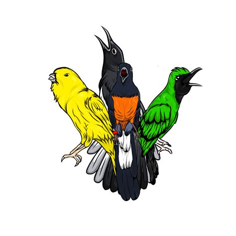Vector Bird Magpie Cucak Green Canary And Pleci Magpie Bird Vector Stone Magpie Png