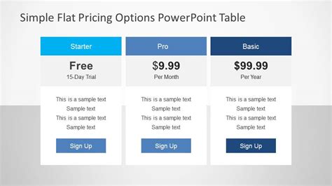Simple Flat Pricing Options Powerpoint Table Slidemodel