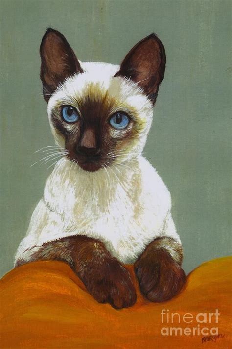 Siamese Cat By Morgan Fitzsimons Cat Art Cat Painting Cat Illustration