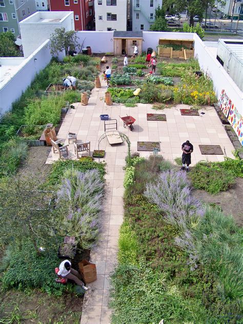 20 Rooftop Vegetable Garden Design Ideas