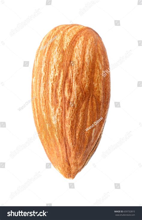 Single Almond Photo Closeup Isolated On Stock Photo 659732815