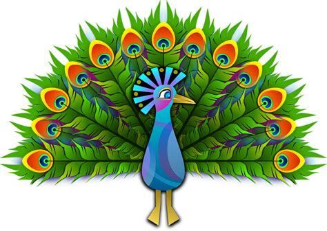 Peacock Peafowl Peachick · Free vector graphic on Pixabay