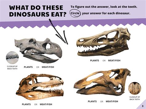 How Do We Know What Dinosaurs Looked Like