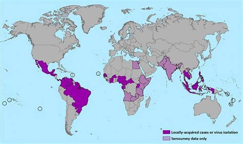 what is zika everything you need to know about the zika virus