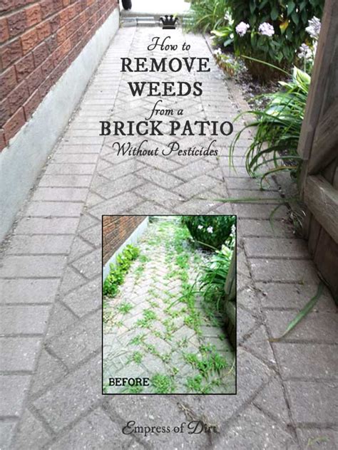 Finding the best weeding tool for the task can be confusing, too. How to Remove Weeds from a Brick Pathway without ...