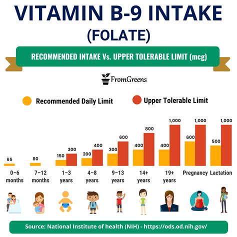 Recommended Daily Intake Of Vitamin B9 Folate For All Age Groups