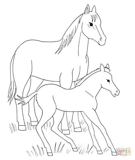 Ausmalbilder pferde mit reiter zum ausdrucken. Ausmalbild: Pferd und Fohlen | Ausmalbilder kostenlos zum ...