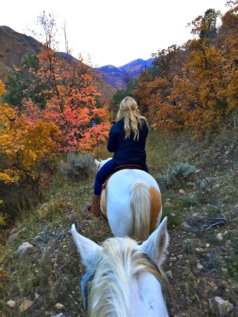 Life Of Tracy Fall Horse Riding
