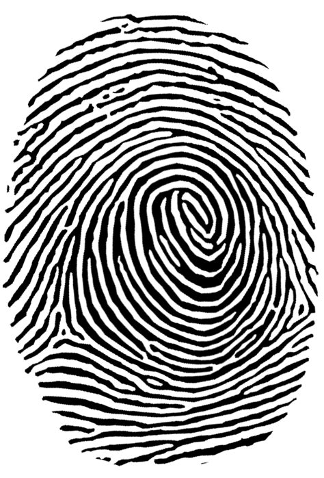 Fingerprint Transparent Png
