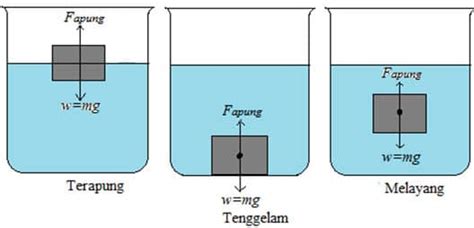 Hukum Archimedes Pengertian Bunyi Hukum Archimedes Rumus Dan Contoh