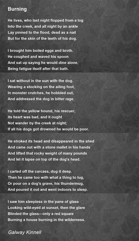Burning Poem By Galway Kinnell Poem Hunter