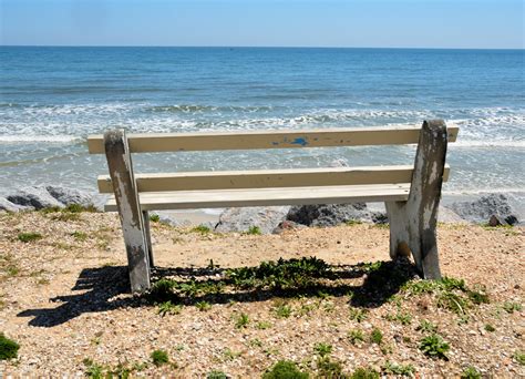 Bench Seat On The Beach Free Stock Photo Public Domain Pictures