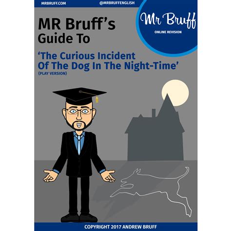 Mr Bruffs Guide To The Curious Incident Ebook