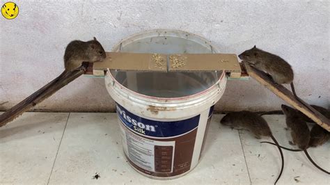 Idea Mouse Trap How To Make Home Made Mouse Trap Work Easy