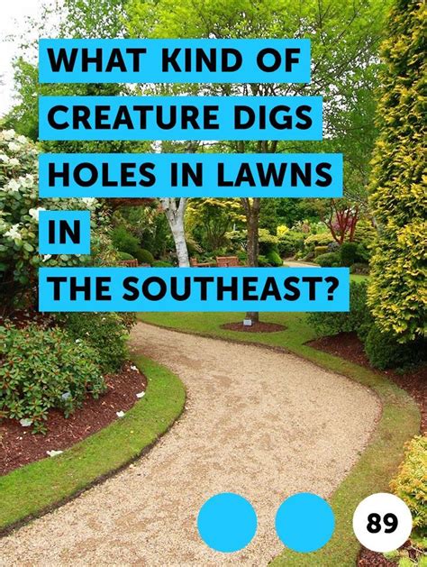 Learn What Kind Of Creature Digs Holes In Lawns In The Southeast How